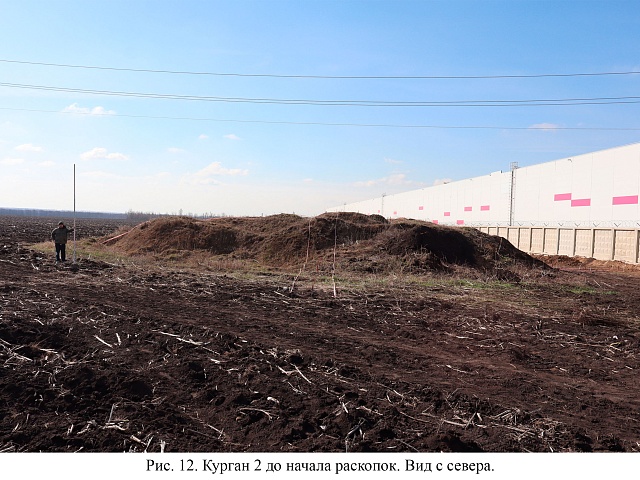 Археологические раскопки курганной группы 1 у с. Нечаевка Новоусманского района Воронежской области в 2025 году